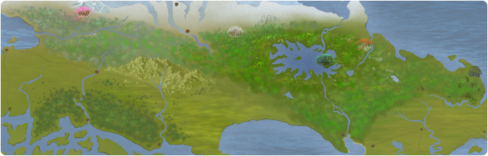 A color map of the Weisewald